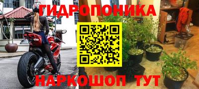 индика Анжеро-Судженск